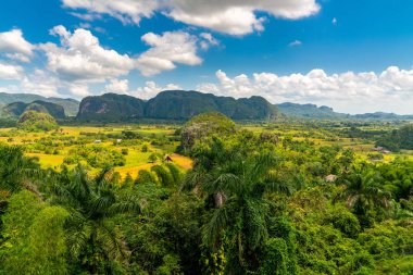Küba'nın Pinar del Rio Vinales Vadisi sitesi