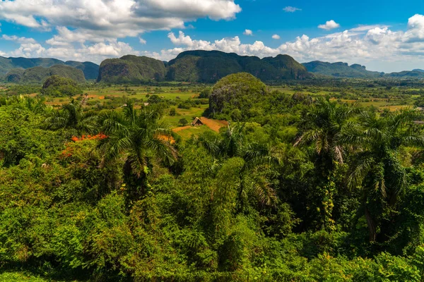 Vinales долині сайту в Пінар-дель-Ріо на Кубі — стокове фото