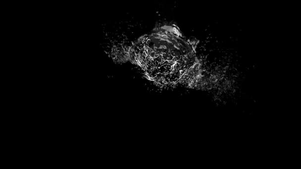 Salpicadura Agua Líquido Cámara Lenta Negro Renderizado Animación — Vídeos de Stock