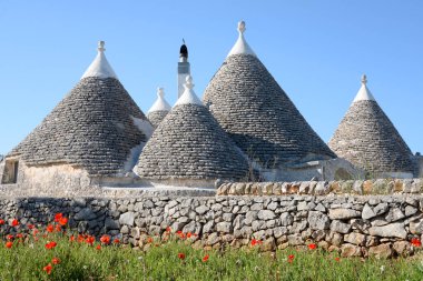 Koni şeklinde çatılar geleneksel mimarinin Puglia initaly Valle d'Itria Vadisi'nde Alberobello içinde için tipik ön planda kırmızı haşhaş ile trulli evler taş.