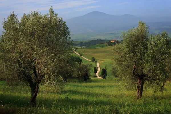 Landschaft Der Toskana Mit Der Berühmten Gladiatorenstraße Ein Weißer Feldweg — Stockfoto