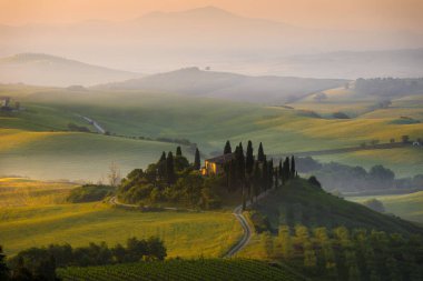 Ünlü ev Il Belvedere selvi ağaçları sabah sis San Quirico Orcia Toskana, İtalya sunrise, Val Orcia Vadisi'nin nazik tepeler arasında çevrili.