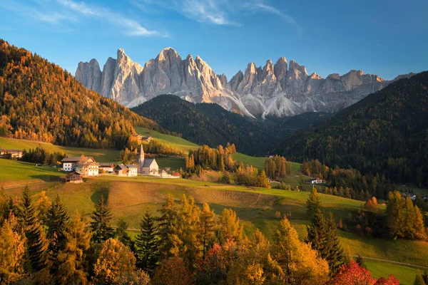 位于意大利北部蒂罗尔南部的一个名叫Sankt Magdalena的小村子里的教堂 秋天的景色是黄松叶林 背靠着Geisler Dolomites山的山峰 免版税图库照片