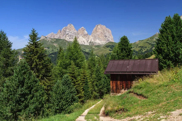 Letní Krajina Údolí Fassa Hory Sassolungo Pozadí — Stock fotografie