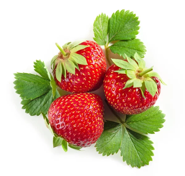 新鲜的红色草莓与绿叶隔离在白色背景 顶部视图 — 图库照片
