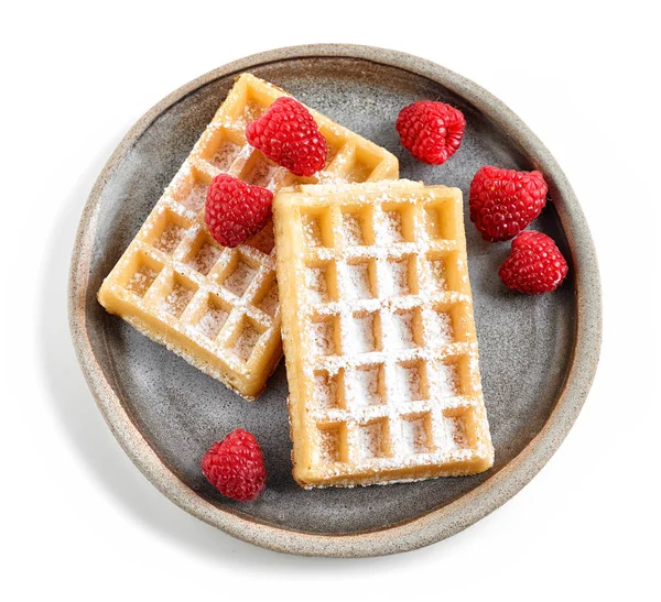 Two Waffles Ceramic Plate Isolated White Background — Stock Photo, Image