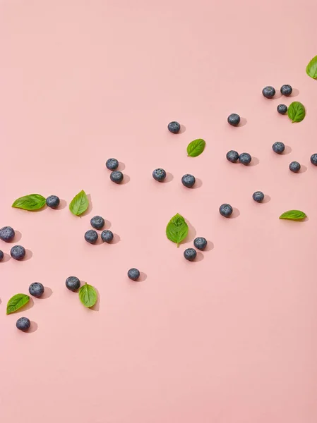 Blueberries and green basil leaves — Stock Photo, Image