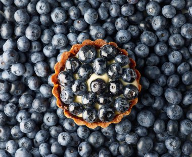 taze yaban mersini arka plan üzerinde Blueberry tart