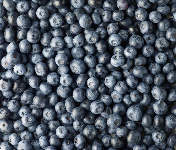 Background of fresh blueberries — Stock Photo, Image