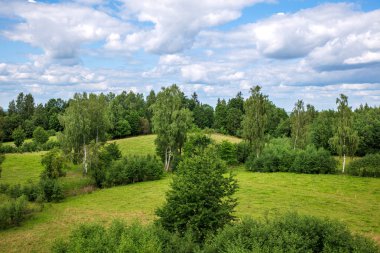 Bulutlu gökyüzü ve yeşil ağaçlarla güzel bir yaz manzarası