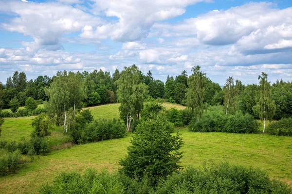 Bulutlu gökyüzü ve yeşil ağaçlarla güzel bir yaz manzarası