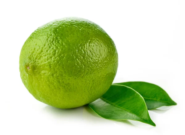 Fresh Ripe Lime Green Leaves Isolated White Background — Stock Photo, Image