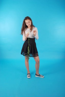 Genç kız bir papatya çiçek tahmin. Genç kız papatya yaprakları gözyaşları. Studio mavi arka plan üzerinde izole