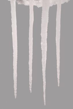 Gri bir arka plan üzerinde izole buz sarkıtları. Donmuş su. Kırpma yolu içinde.