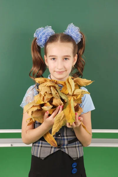 Outono Rapariga Detém Outono Folhas Amarelas Menina Bonito Uniforme Escolar — Fotografia de Stock