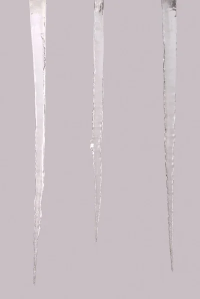 Icicles Isolated Grey Background Frozen Water Three Clipping Path — Stock Photo, Image