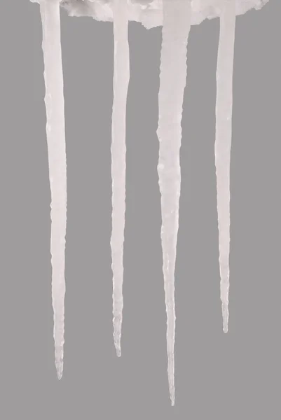 Gri Bir Arka Plan Üzerinde Izole Buz Sarkıtları Donmuş Kırpma — Stok fotoğraf