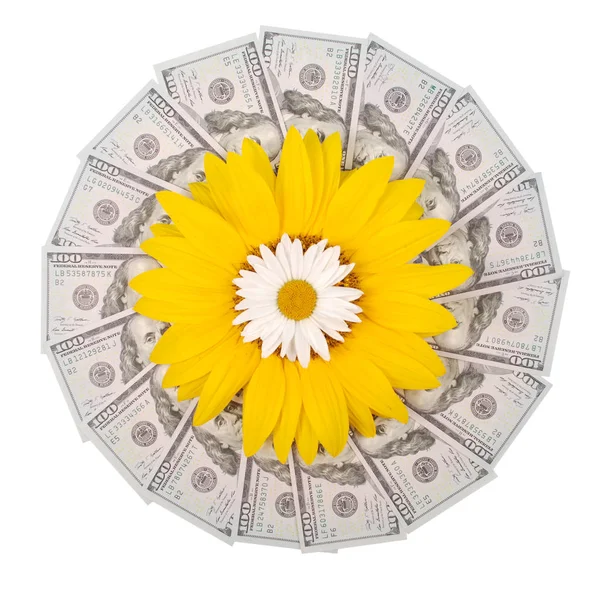 Sunflower Chamomile Mandala Kaleidoscope Money Abstract Money Background Raster Pattern — Stock Photo, Image