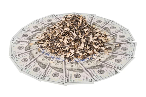 Casca Girassol Caleidoscópio Mandala Dinheiro Abstrato Dinheiro Fundo Raster Padrão — Fotografia de Stock