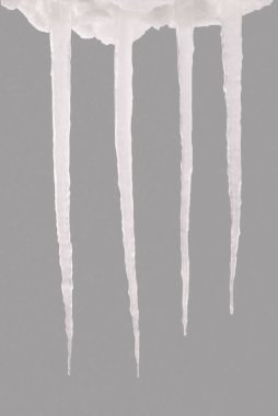 Gri bir arka plan üzerinde izole buz sarkıtları. Donmuş su. Kırpma yolu içinde.