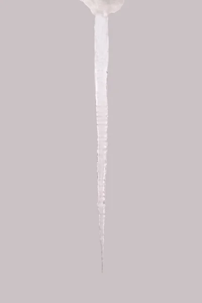 Icicle Isolé Sur Fond Gris Eau Glacée Couper Chemin Intérieur — Photo