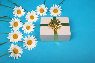 Altın kurdele yay ile hediye kutusu ile beyaz papatya.