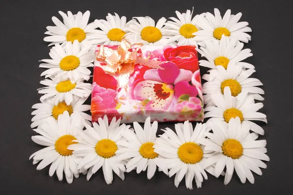 Manzanilla blanca con caja de regalo rosa . — Foto de Stock