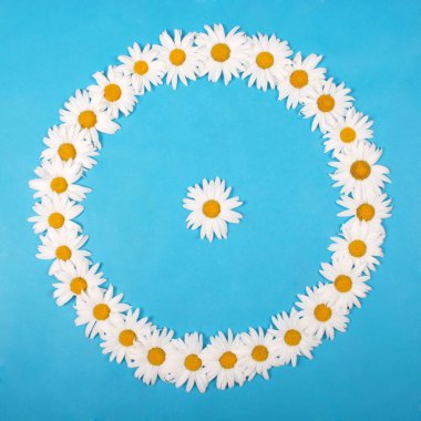 Metin için alan ile papatyalar yuvarlak çerçeve, çiçek bitkisel kartpostal