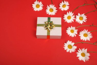 Altın kurdele yay ile hediye kutusu ile beyaz papatya.