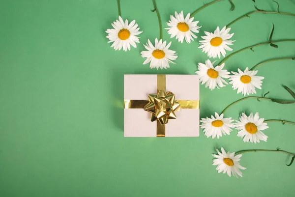 White chamomile with gift box with gold ribbon bow. — Stock Photo, Image