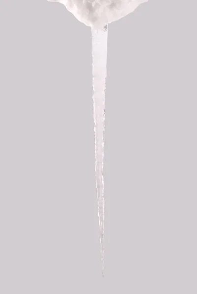 Icicle aislado en un gris (camino de recorte ) —  Fotos de Stock