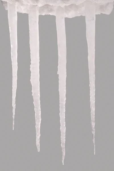 Sopel na białym tle na szary (ścieżki przycinającej) — Zdjęcie stockowe