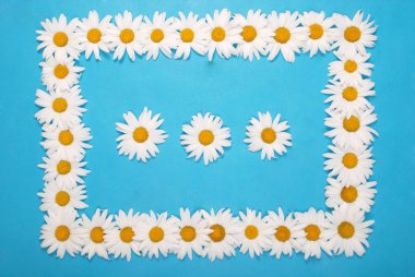 Metin için alan ile Camomile çerçeve, çiçek bitkisel kartpostal