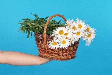 Elinde hasır sepetpapatya çiçekler