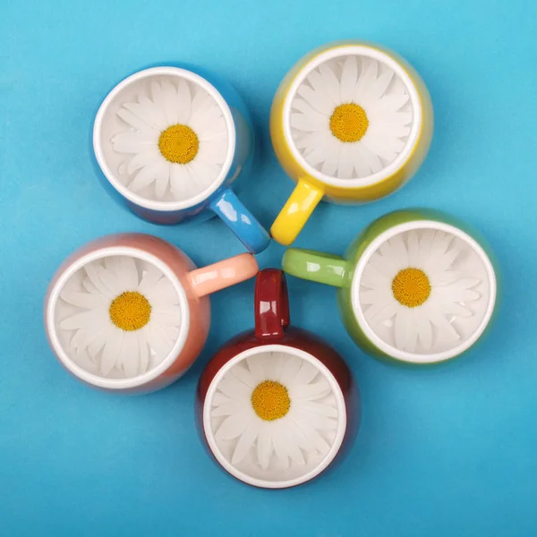 Empty five tea cup with chamomile flowers — Stock fotografie