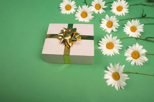 White chamomile with gift box with gold ribbon bow. — Stock Photo, Image