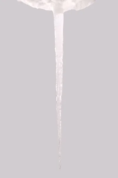 Icicle isolé sur un gris (Sentier de coupe ) — Photo