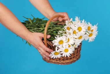 Elinde hasır sepetpapatya çiçekler