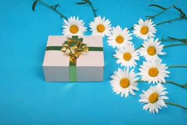 Altın kurdele yay ile hediye kutusu ile beyaz papatya.