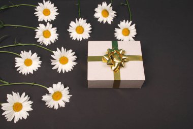 Altın kurdele yay ile hediye kutusu ile beyaz papatya.