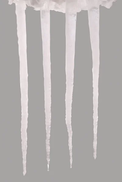 Icicle isolated on a grey (Clipping path) — Stock Photo, Image