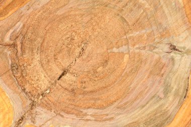 Yıllık halkaları closeup ile taze kütük yüzeyinin üst görünümü. Arka plan olarak kullanmak için. 