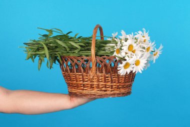 Elinde hasır sepetpapatya çiçekler