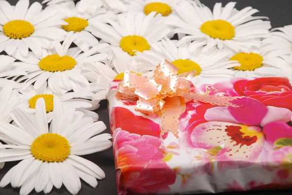 Manzanilla blanca con caja de regalo rosa . — Foto de Stock