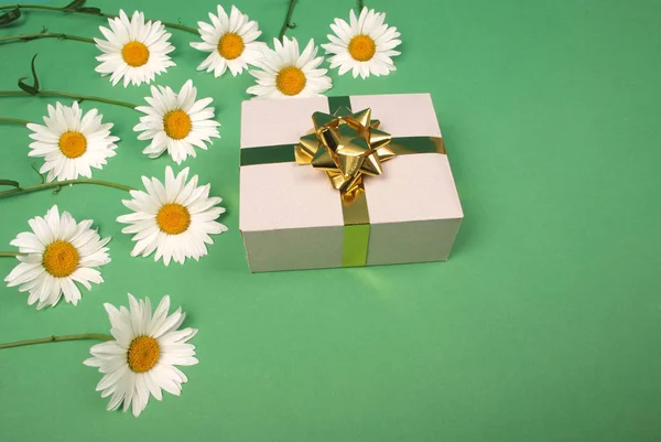 White chamomile with gift box with gold ribbon bow. — Stock Photo, Image