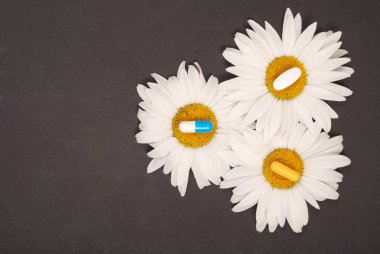 Papatya çiçekleri, Homeopatik Tıp.