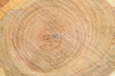 Yıllık halkaları closeup ile taze kütük yüzeyinin üst görünümü. Arka plan olarak kullanmak için. 