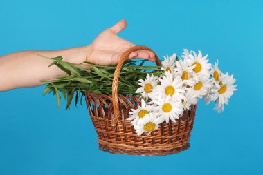 Elinde hasır sepetpapatya çiçekler