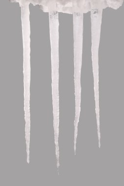 Bir gri (kırpma yolunu izole saçağı)