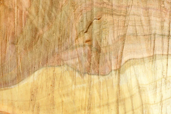 Κορυφαία όψη της επιφάνειας του φρέσκου κούτσουρο με τα ετήσια δαχτυλίδια κοντινό. Για χρήση ως φόντο. — Φωτογραφία Αρχείου